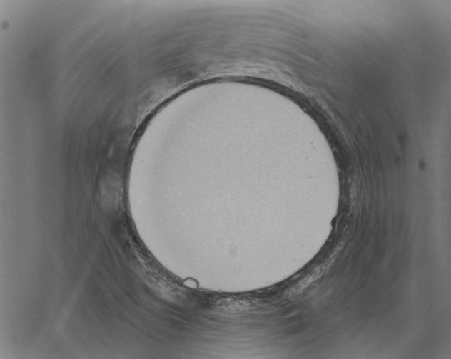 X0000062891505200602101728