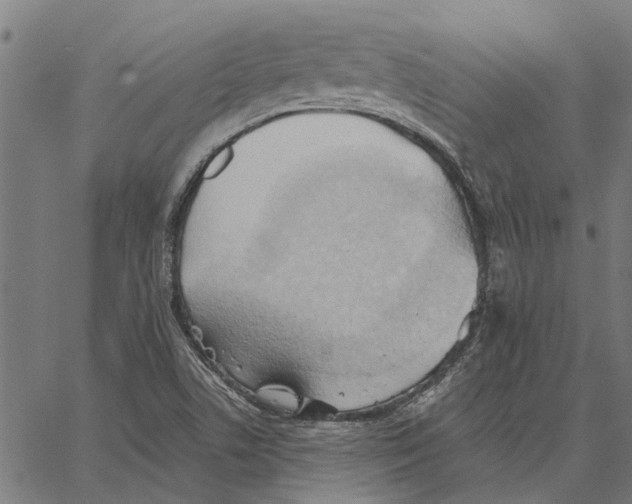 X0000062891506200602101728