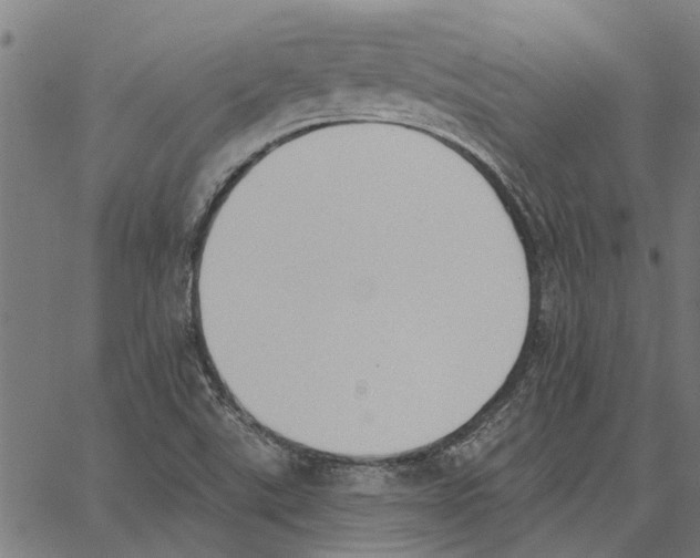 X0000062891507200602101728