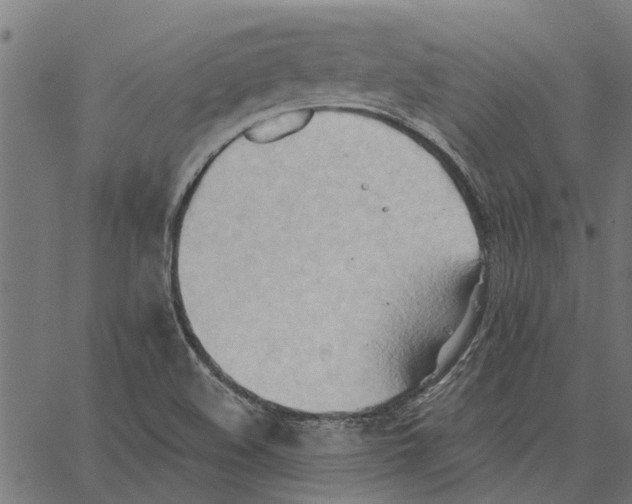 X0000062891508200602101728