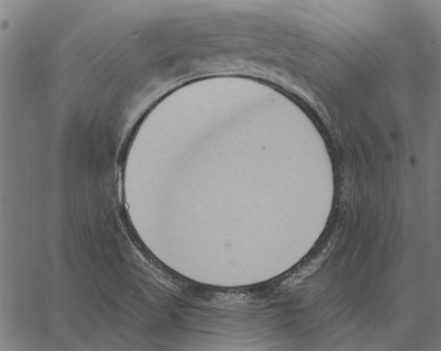 X0000062891509200602101728