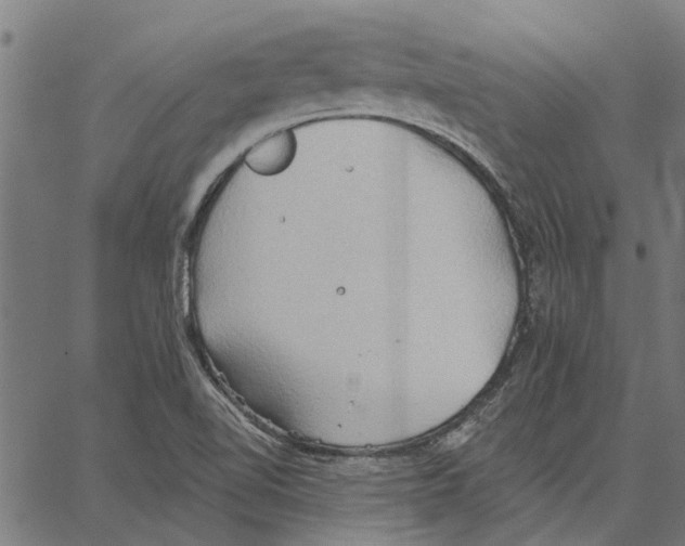 X0000062891510200602101728