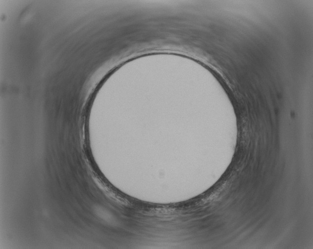 X0000062891511200602101728