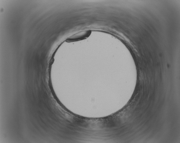 X0000062891512200602101728