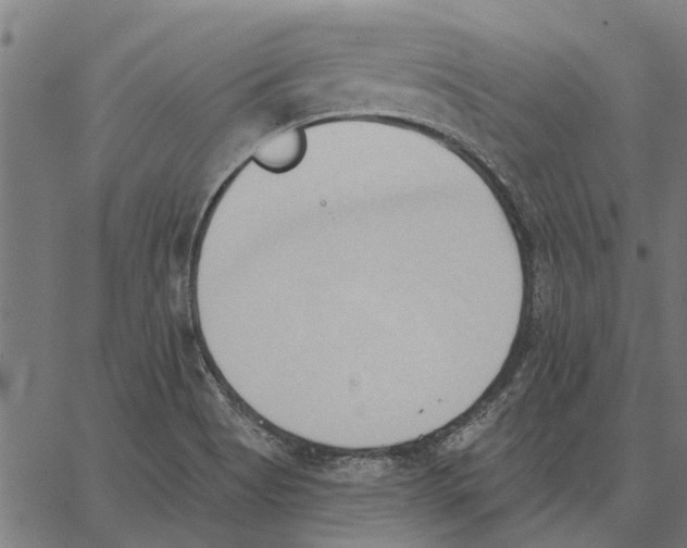 X0000062891513200602101728