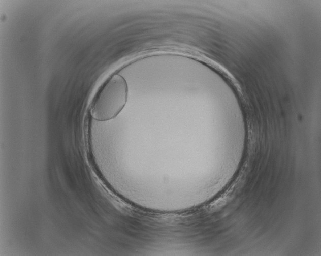 X0000062891514200602101728