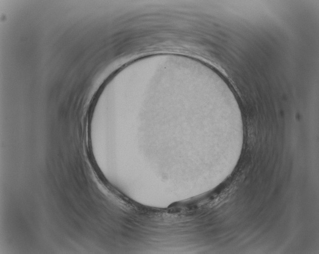 X0000062891515200602101728