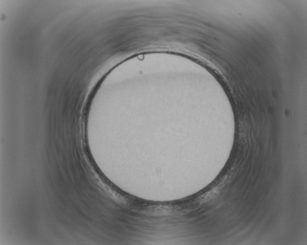 X0000062891517200602101728