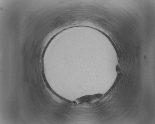 X0000062891519200602101728