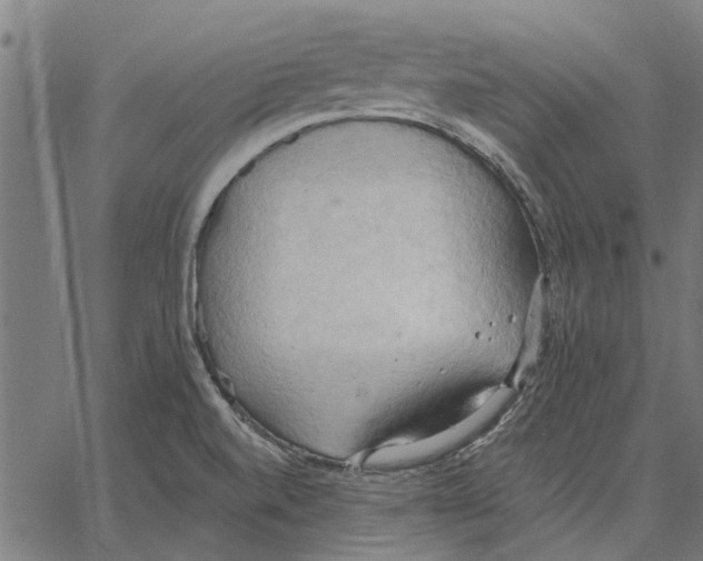 X0000062891520200602101728