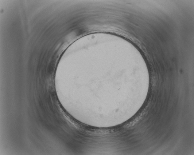 X0000062891521200602101728