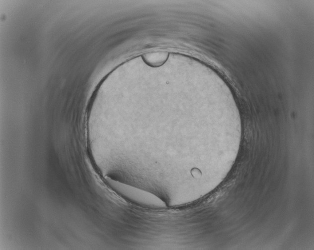 X0000062891522200602101728