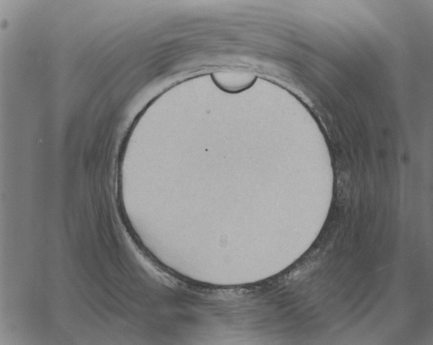 X0000062891523200602101728