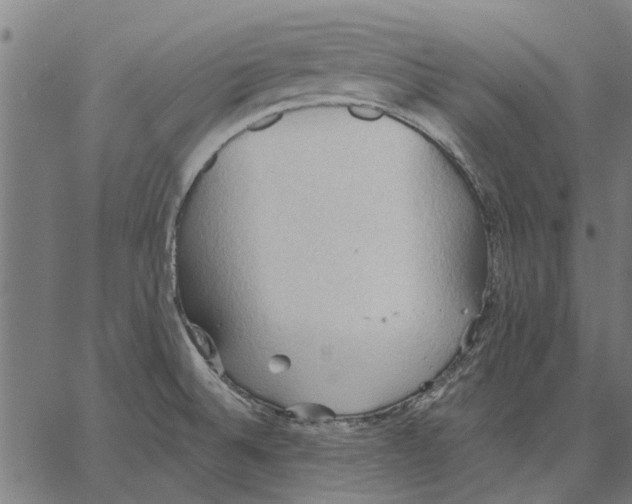 X0000062891524200602101728