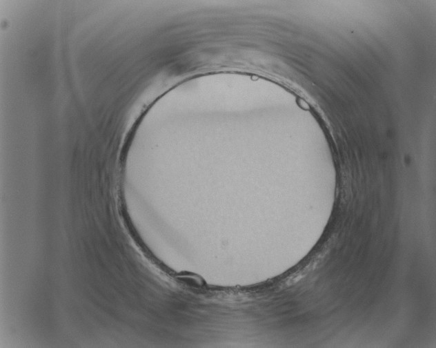 X0000062891525200602101728