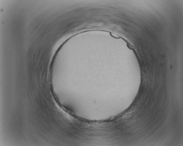 X0000062891527200602101729