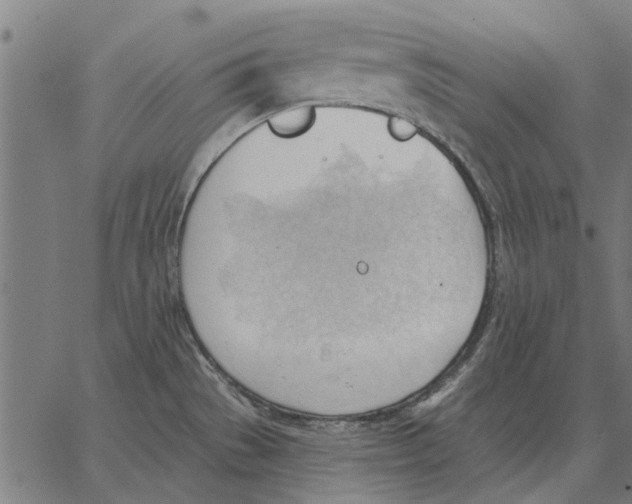 X0000062891529200602101729