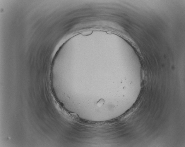 X0000062891530200602101729