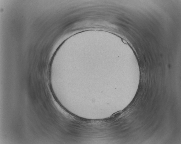 X0000062891531200602101729