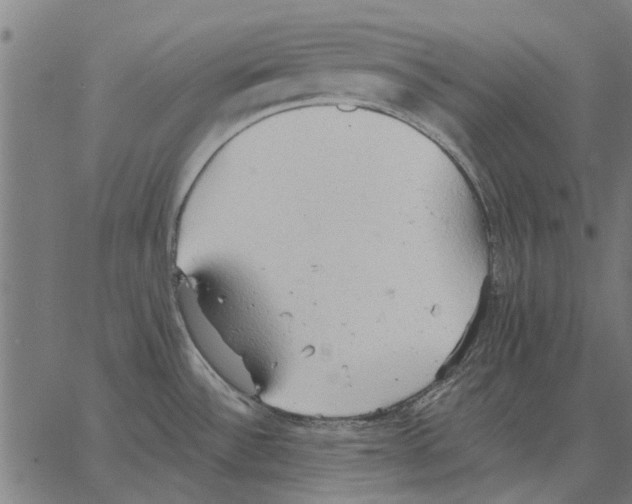 X0000062891532200602101729