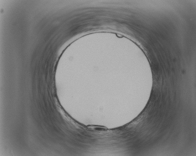 X0000062891534200602101729