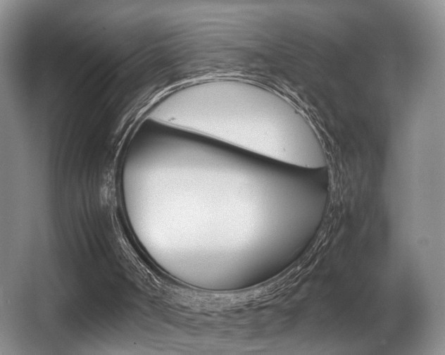 X0000062900002200601131056