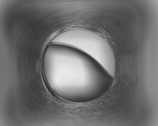 X0000062900003200601131056