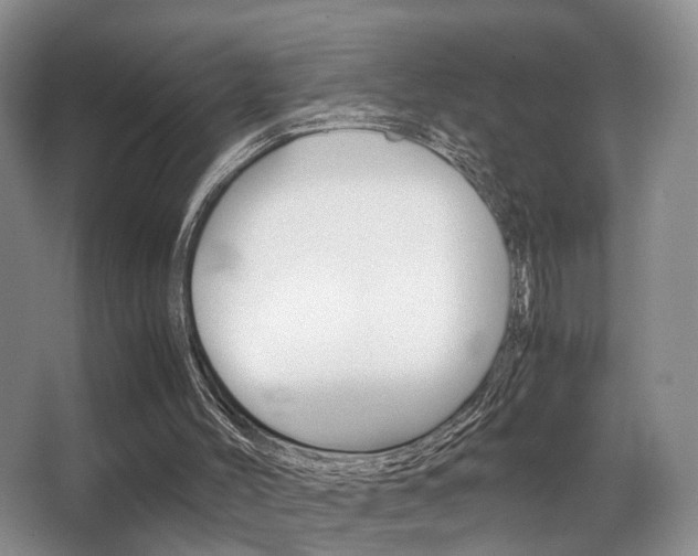 X0000062900004200601131056