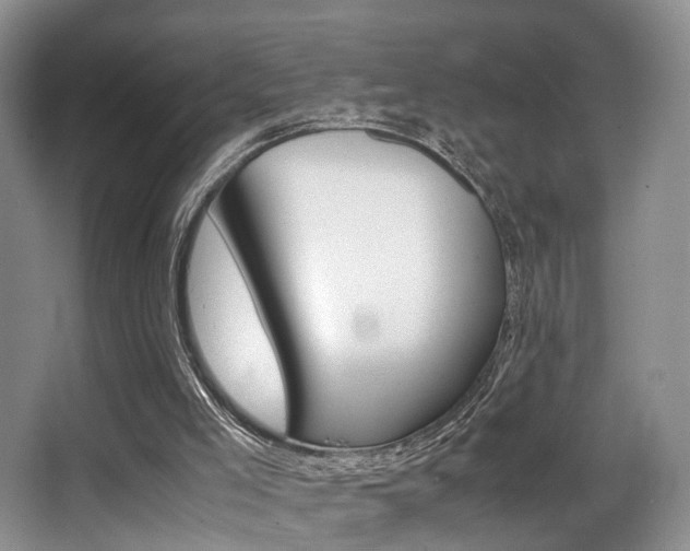 X0000062900005200601131056