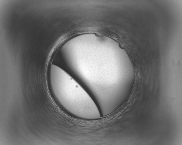 X0000062900006200601131056