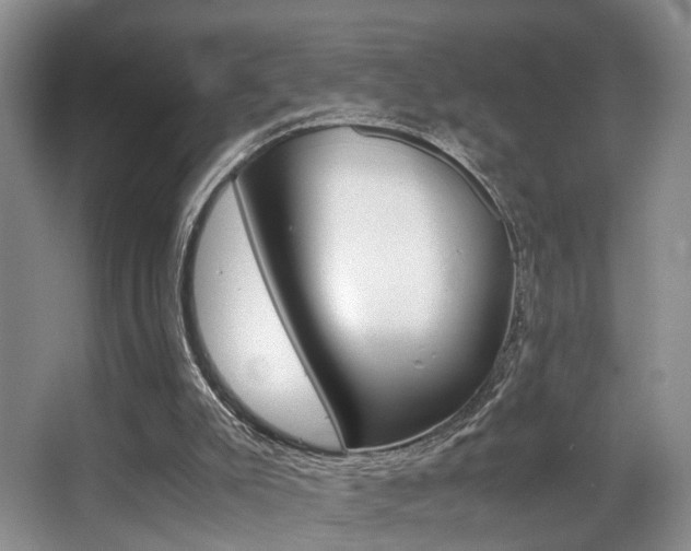 X0000062900007200601131056