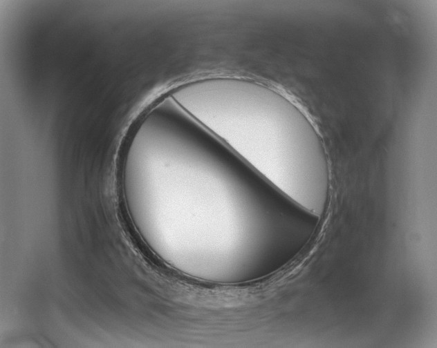 X0000062900008200601131056