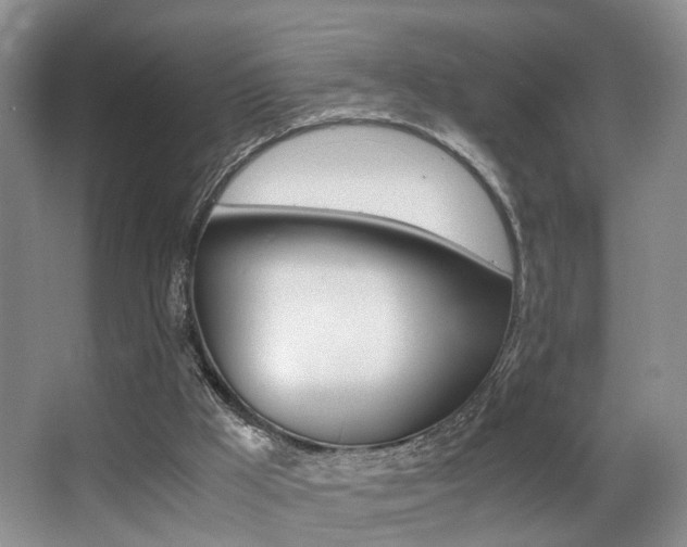 X0000062900009200601131056
