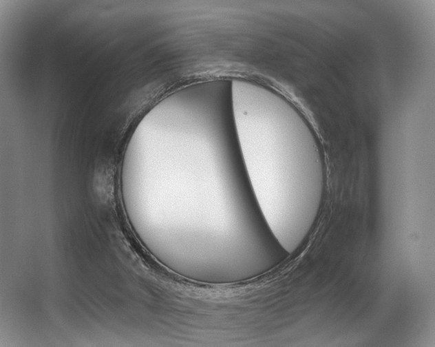 X0000062900010200601131056
