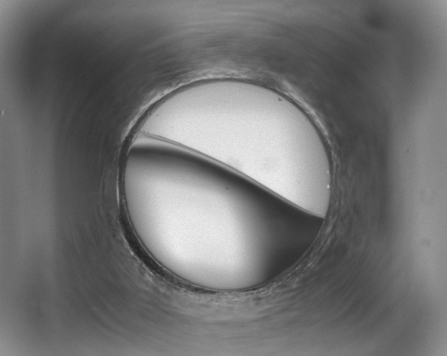 X0000062900011200601131056