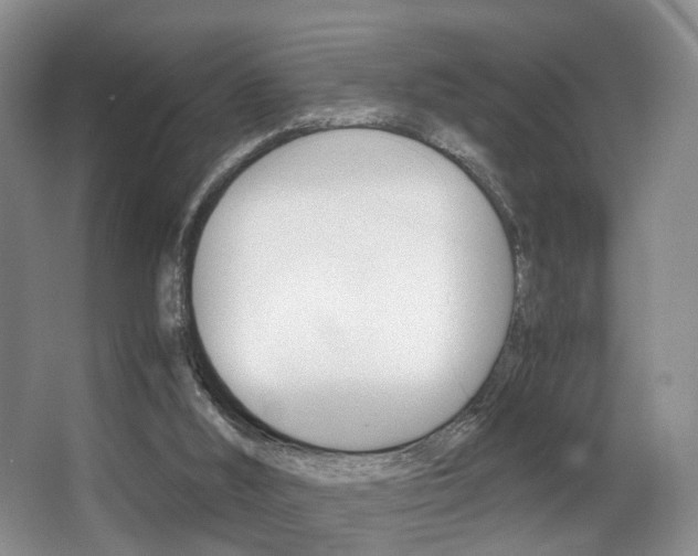 X0000062900012200601131056