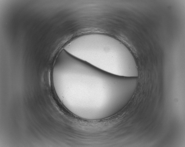 X0000062900014200601131056