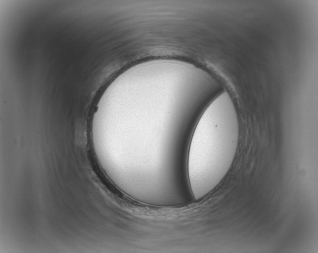 X0000062900015200601131056