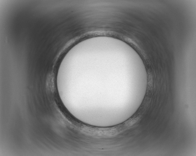 X0000062900016200601131056