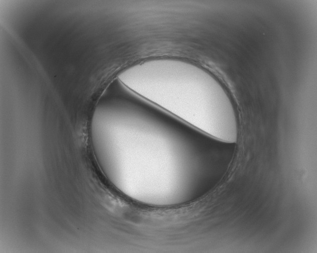 X0000062900017200601131056