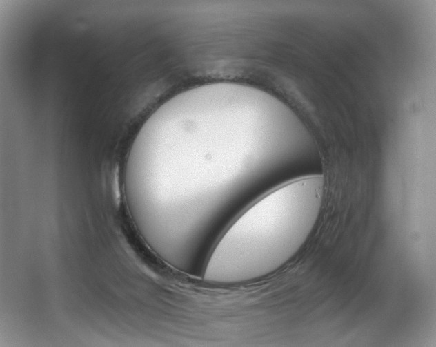 X0000062900020200601131055