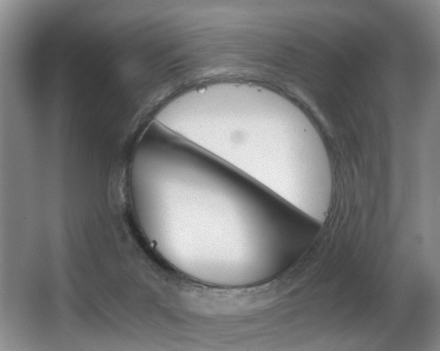 X0000062900023200601131055