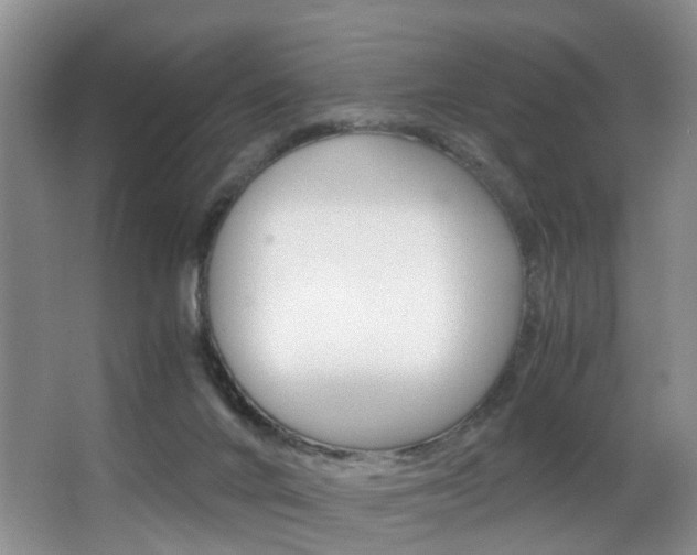 X0000062900024200601131055