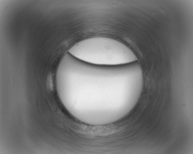 X0000062900026200601131055