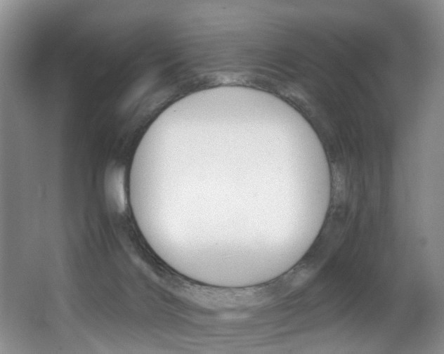 X0000062900028200601131055