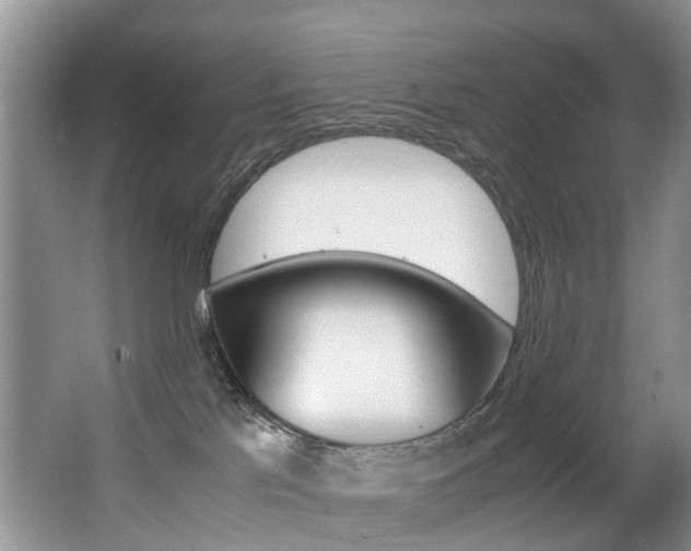 X0000062900041200601131055