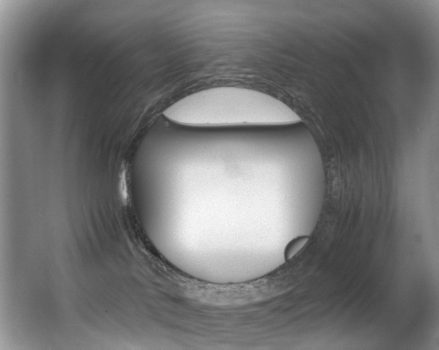 X0000062900042200601131055