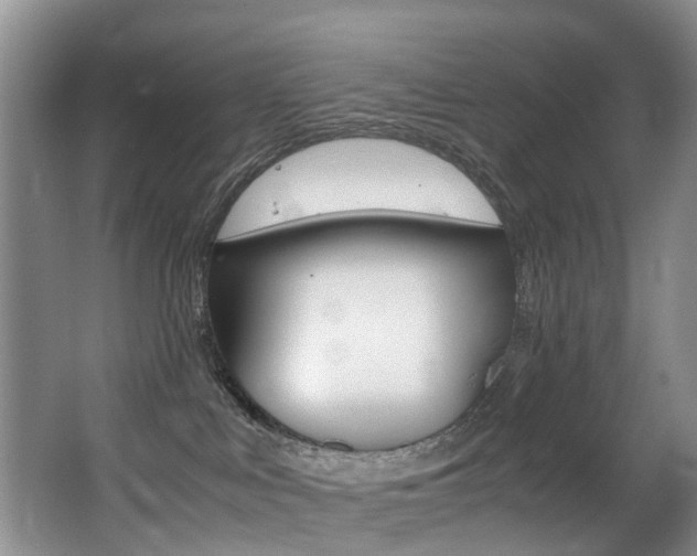 X0000062900043200601131055