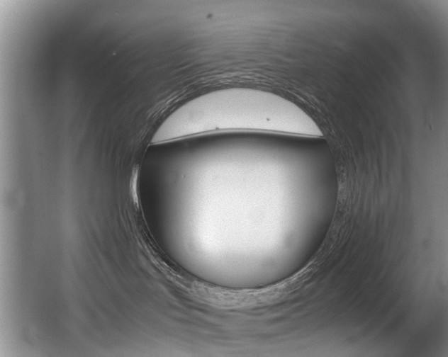 X0000062900047200601131055