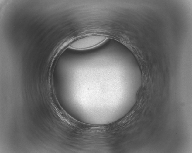 X0000062900050200601131054